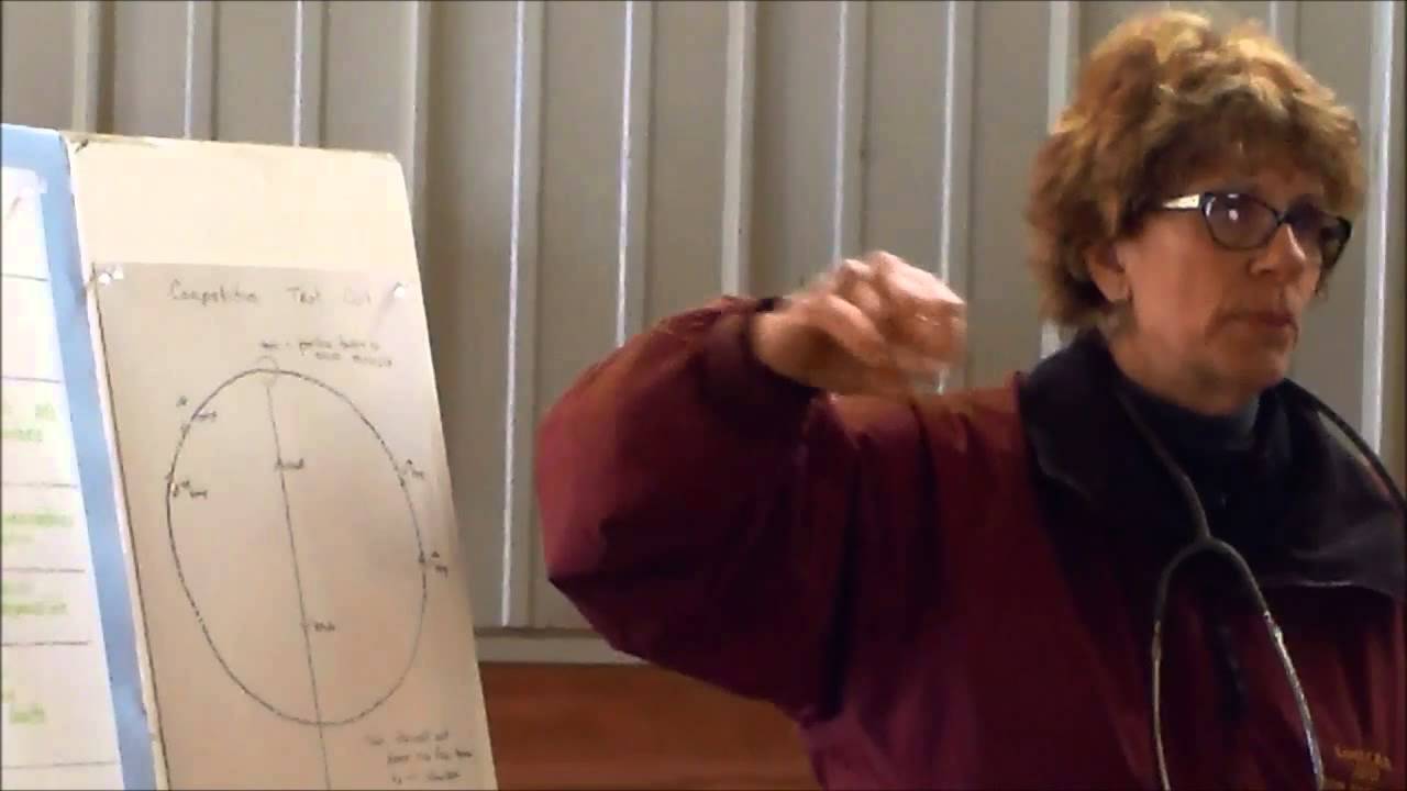 2014 Distance Clinic - Competitive Vet-In