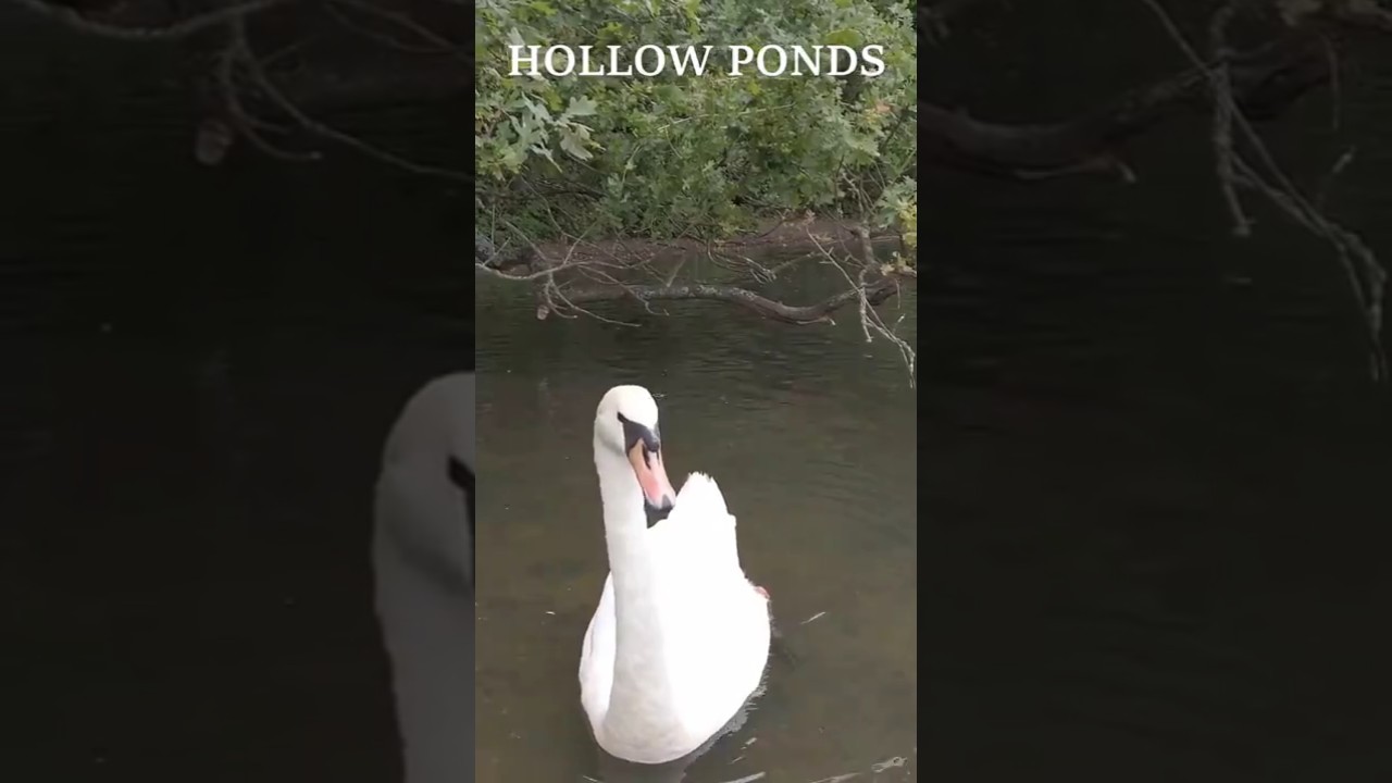 London, United Kingdom (UK) 