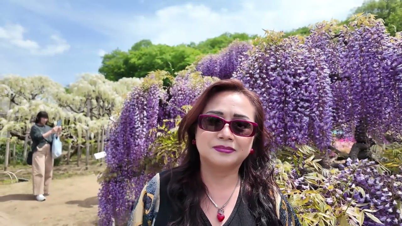 Ashikaga FlowerJapan - YouTube
