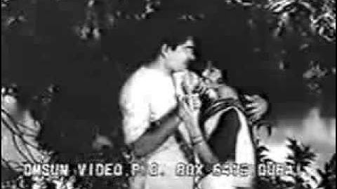 Thelinju prema yamuna veendum