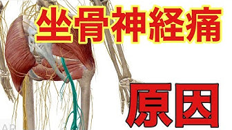 あさば整骨院 Youtube あさば整骨院 Youtube