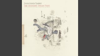 Video thumbnail of "Frightened Rabbit - The Modern Leper"