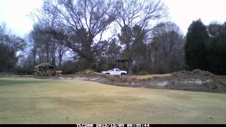 Time Lapse 1 green