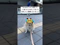 「4℃のネックレス欲しい」って言うから冷やしておいたの渡したら喧嘩になりました