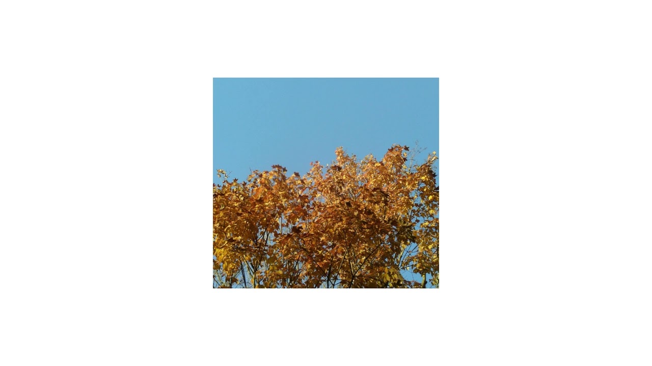 free adrianne lenker + indie folk type beat - "intertwined"