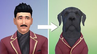 creating the goth family as pets in the sims lol