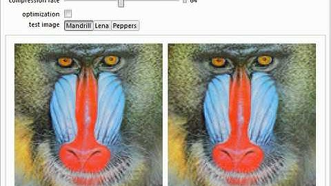 Color Image Compression via the Higher-Order Singular Value Decomposition (HOSVD)