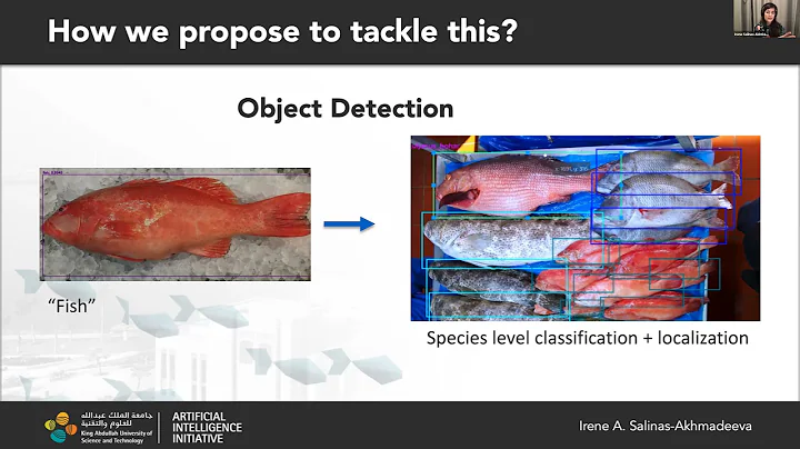 D1-2 [Irene Salinas] What are we fishing? The impl...