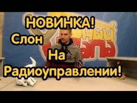 Слон на радиоуправлении