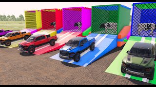 STORY DODGE RAM PICKUP CARS DACIA FORD BMW MERCEDEZ MASSEY TRANSFERING COWS OF COLORS ❗❗ FS 22 #1