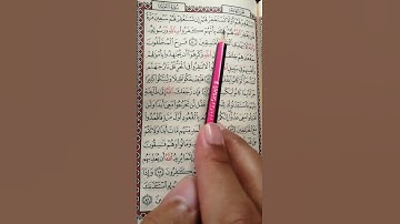 تعليم سورة التوبة من 80 إلى 81