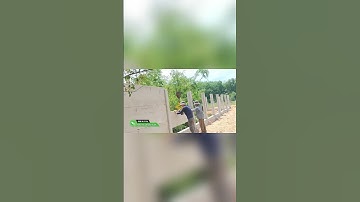 Thi Công Hàng Rào Lắp Ghép Đơn Giản Nhất Thế Giới  #nhadep #xayhangrao