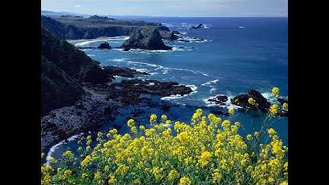 سورة طه بصوت القارئ محمد البيتي