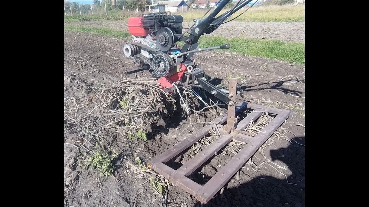 Чистим мотоблоком огород перед вспашкой - YouTube