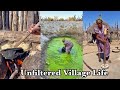 A Happy Village Life | Meet My Family | Fetching Water From Oasis | Pounding For Survival