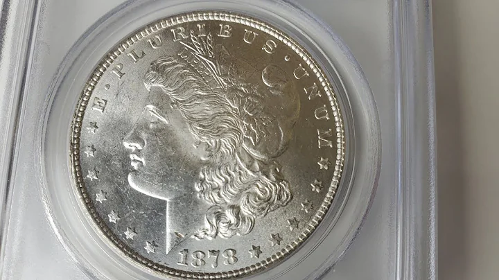 1878 Morgan silver dollar collection