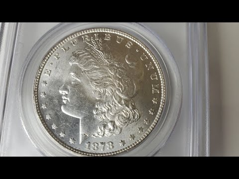 1878 Morgan silver dollar collection