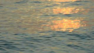 Watch Madrugada Subterranean Sunlight video