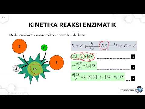 Video: Perbedaan Antara Konstanta Ekuilibrium Dan Konstanta Laju