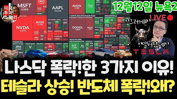 미국주식시황/하락한 3가지 이유! 테슬라 룰루상승! 엔비디아 브로드컴 오라클 하락!왜? 구글 애플 아마존 메타 마소 팔란티어 아이온큐 리게티 MU 오라클 코어위브 DXYZ SOXL