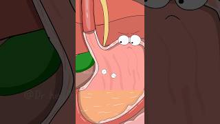 How Sleeping Pills Actually Work?