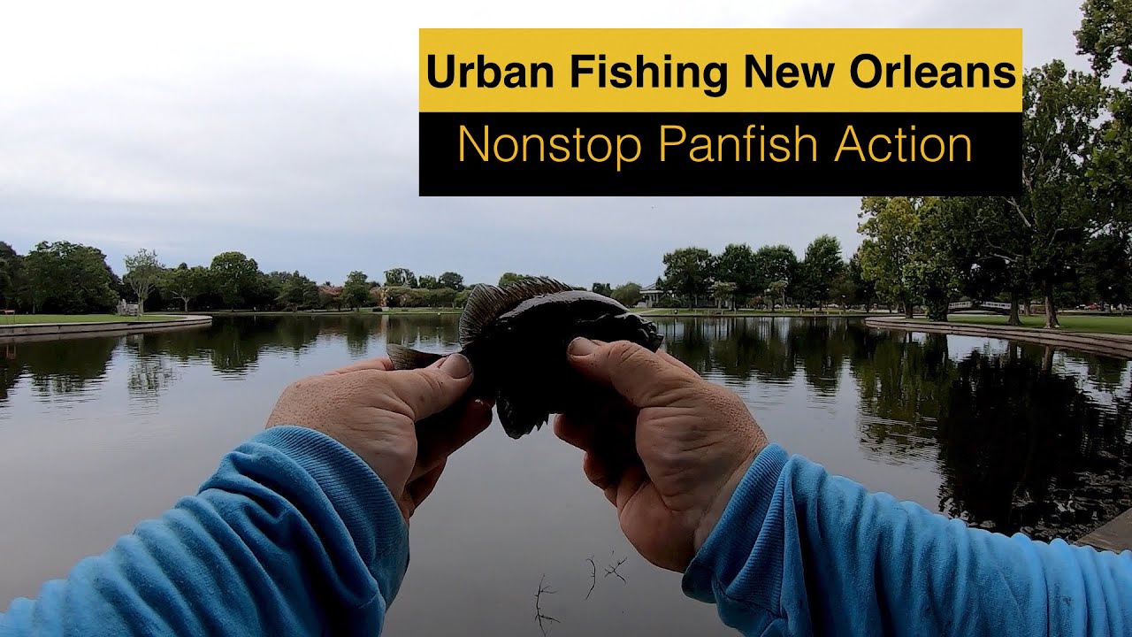 Urban BANK Fishing In Metairie Louisiana, Lafreniere Park. Non Stop