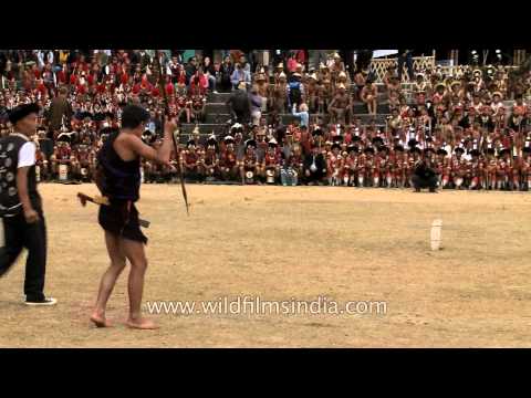Displaying hunting techniques