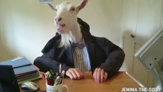 A Day in the Life of Jemima the Goat