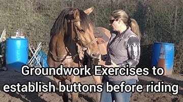 Ground Work Exercises to establish Buttons to prepare the horse for Riding Cues