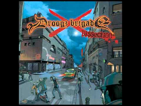 droogz brigade dissection