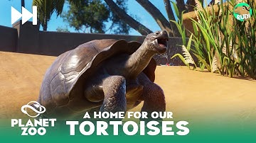 Tortoise Trouble & more Backstage - Planet Zoo Speedbuild
