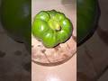 How to cut green chilli #satisfying #cutting #shorts #shortvideo #youtubeshorts