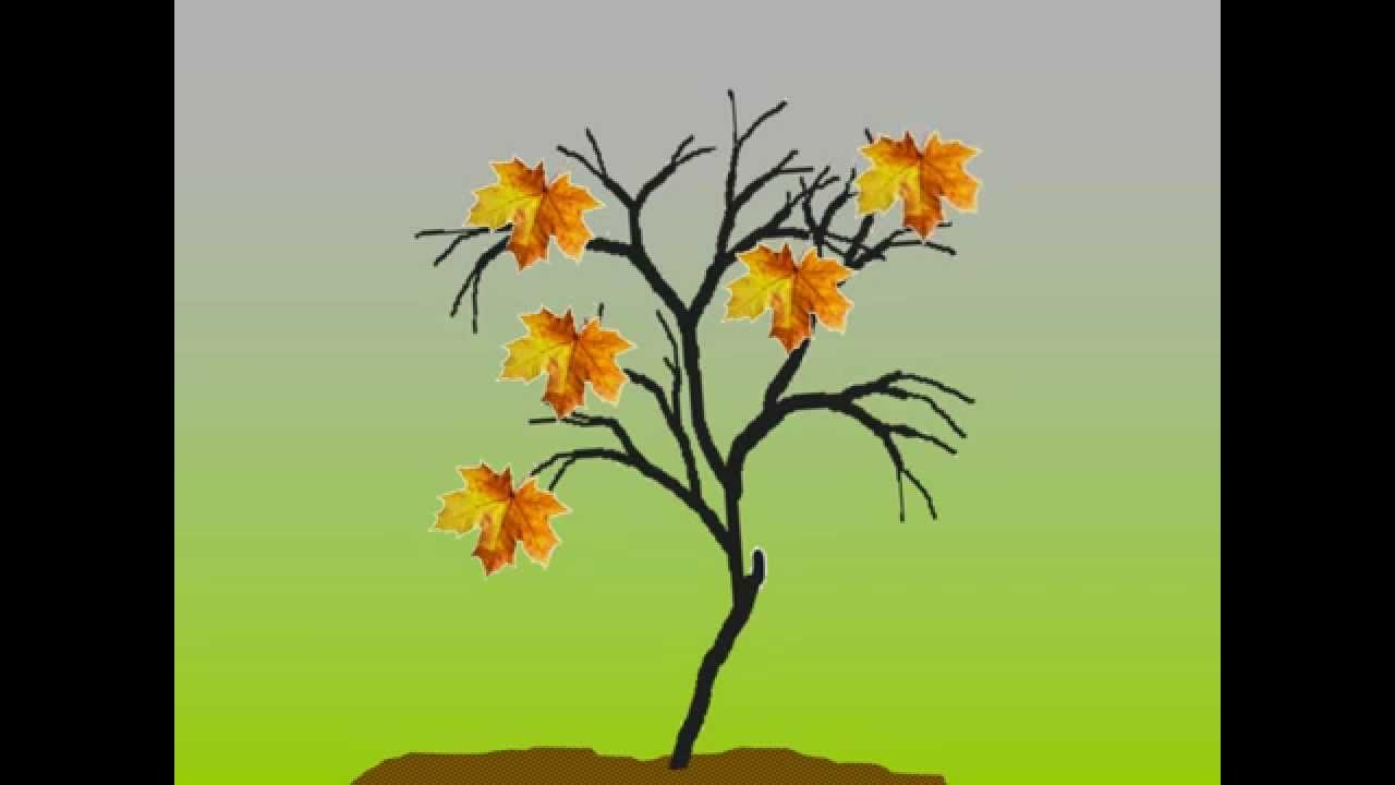 ⁣Физкультминутка для глаз осень