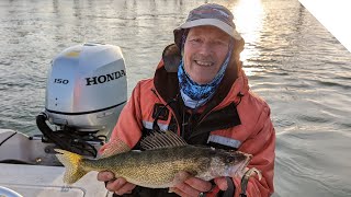 Discover how this slow presentation hooks Walleye in cold water