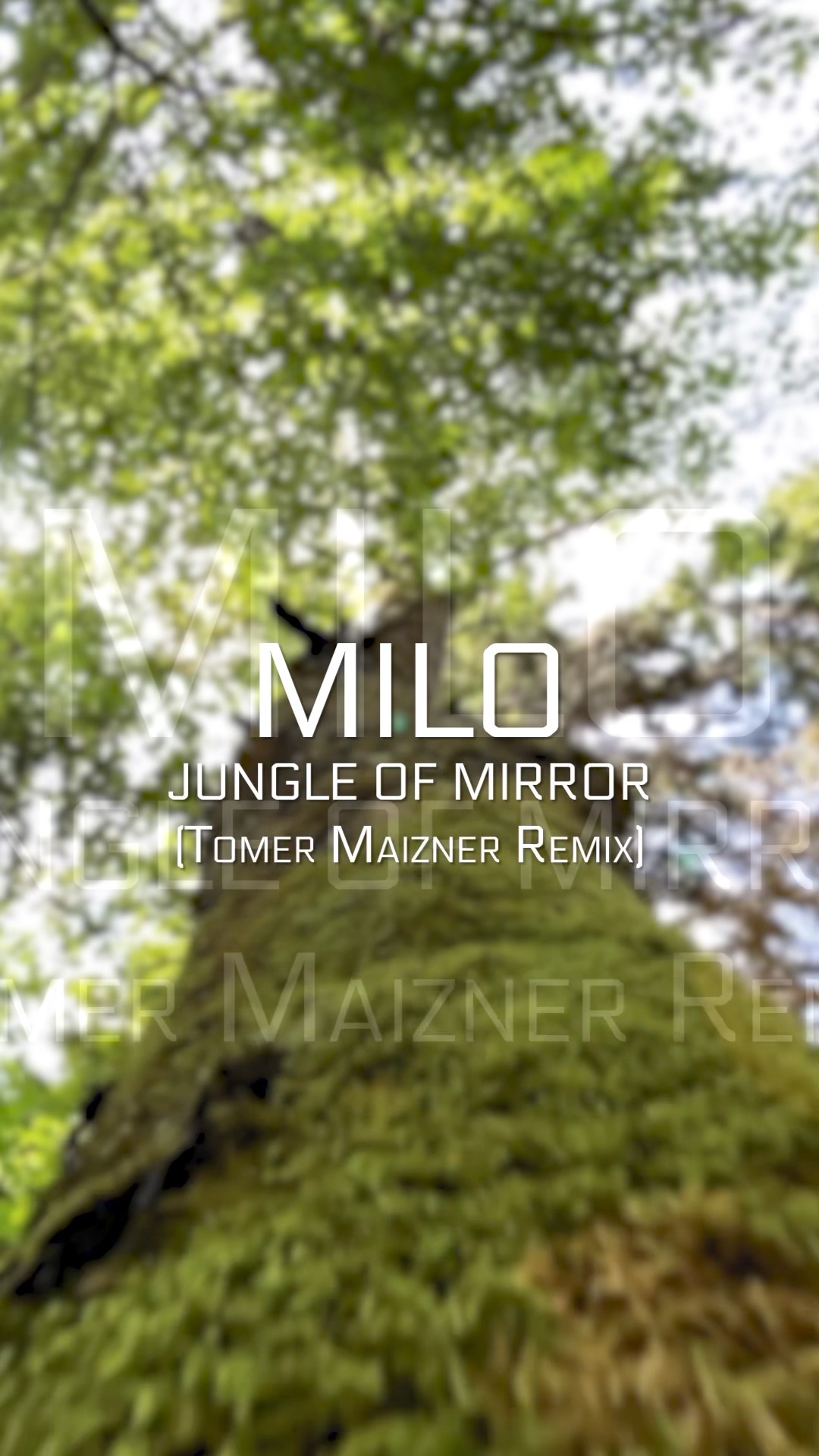Milo ~ Jungle of Mirror ?(Tomer Maizner Remix) #music #remix
