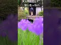 『京都人の密かな愉しみ』の撮影地、年に一度の御開帳法要にお参りしてきた！#真如寺