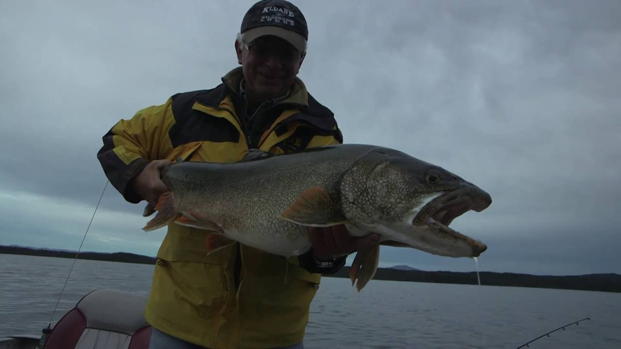 Lake Trout - Kluane Wilderness Lodge