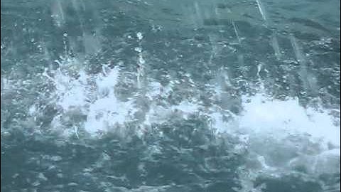 Slow Motion Video By Nikon Coolpix P610