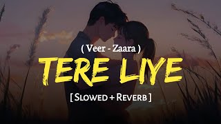 Tere Liye (Slowed   Reverb) | Veer-Zaara | Lata Mangeshkar, Roop Kumar Rathod | SRK | SSR Lofi