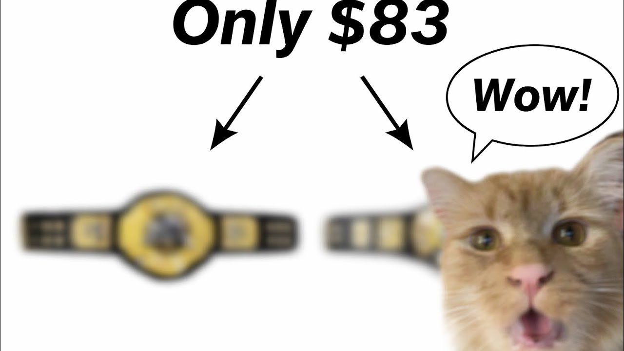 eBay belts for only 83$?! #wwe #cat #ebay 