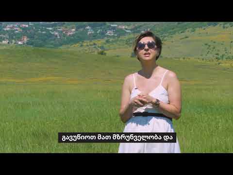 ოთხფეხა მეგობრები და ჩვენი პასუხისმგებლობები