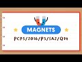 PSLE Science: Magnets Quiz