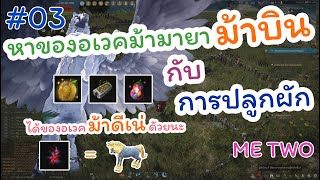 Black Desert #3 : วิธีหาของอเวคม้ามายา T9 อาตัวนาร์ท (ม้าบิน) กับการปลูกผัก