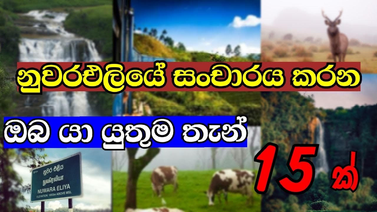 15-most-beautiful-tourist-places-in-nuwara-eliya