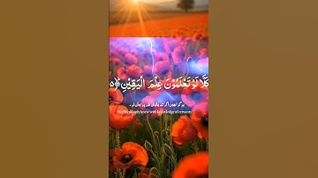 Surat At-Takathur | Mishary Rashid Alafasy | مشاري بن راشد العفاسي | سورة التكاثر