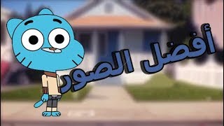 غامبول | أفضل صور | CN Arabic