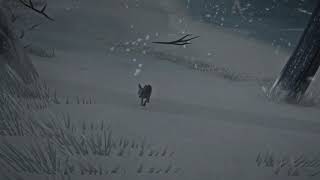 The Long Dark - Mod - Fox companion - Follow player 02