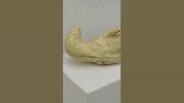 #shorts А что внутри чучел?