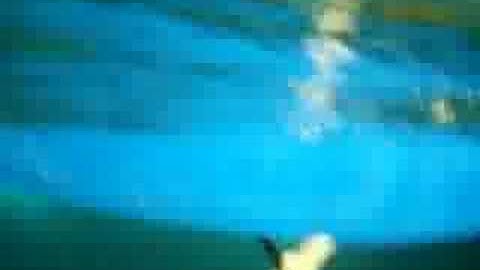 Kayak Rolling Pool Session