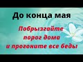 До конца мая побрызгайте порог дома. Прогоните свои беды.